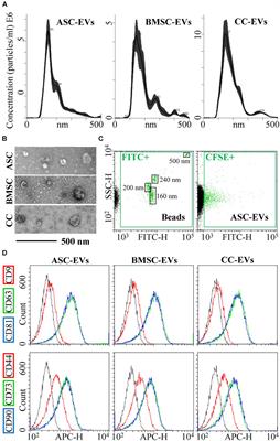 miR-103a-3p and miR-22-5p Are Reliable Reference Genes in Extracellular Vesicles From Cartilage, Adipose Tissue, and Bone Marrow Cells